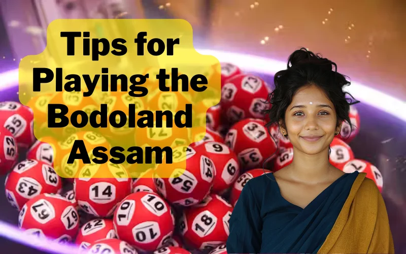 bodoland assam lottery wisely