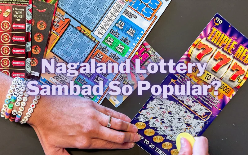 nagaland lottery sambad popularity